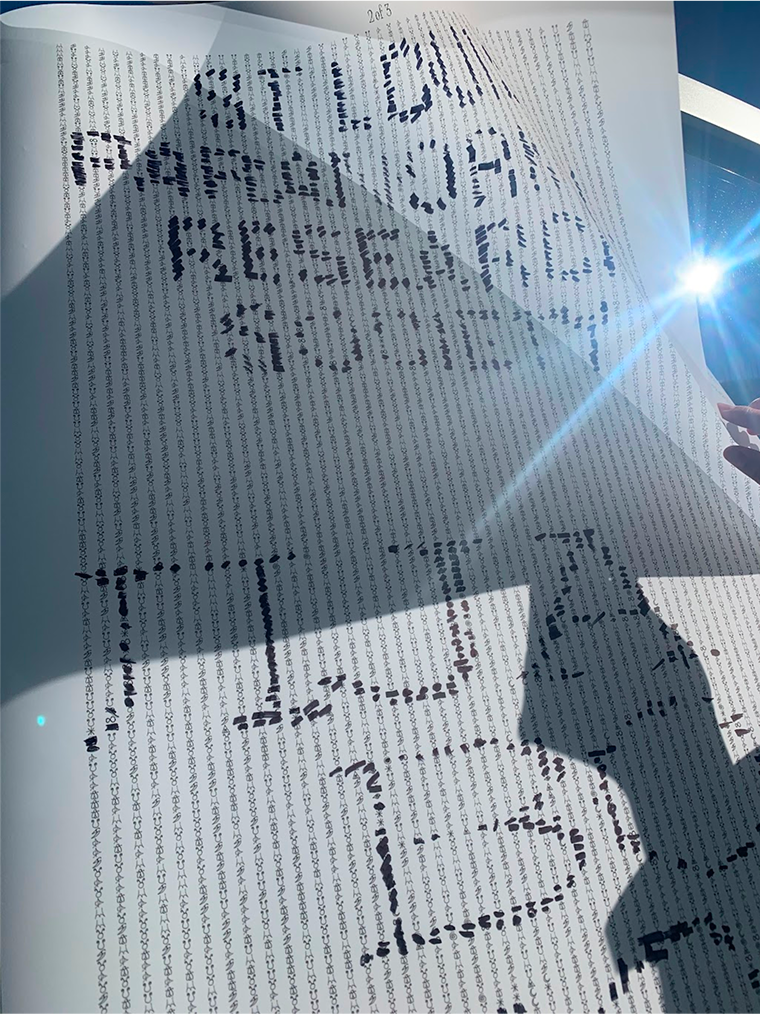 Translucent poster backlit in the sunshine